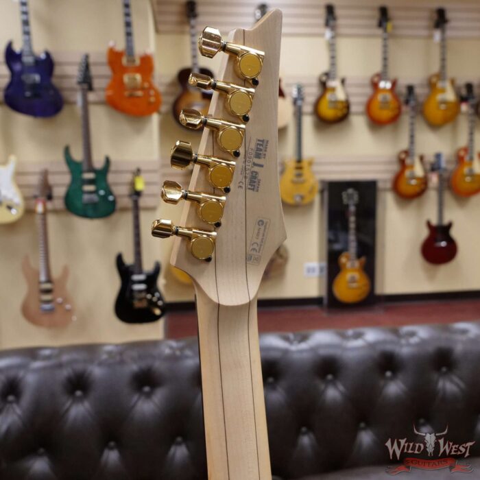 2009 Ibanez PGM800 Owned by Paul Gilbert and Kevin Shirley Signed by Paul Gilbert - Image 10