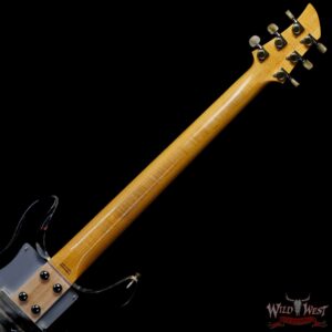 Jim Root Collection Ampeg Dan Armstrong Lucite - Image 5