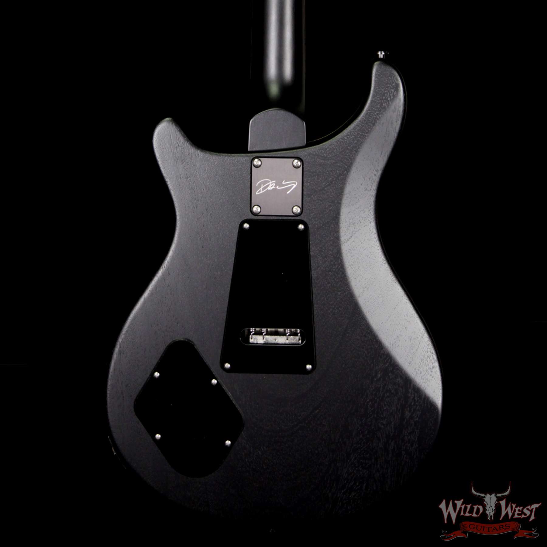 bbb__wwg-4.jpg Paul Reed Smith PRS Dustie Waring Signature DW CE 24 Floyd Rose Limited Edition Waring Burst - Image 7