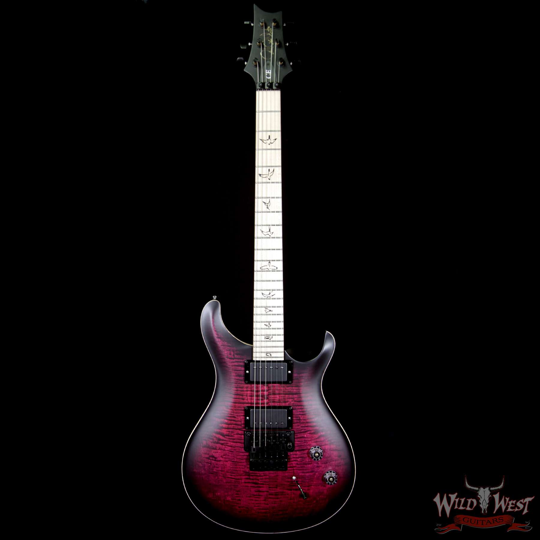 bf__wwg-5.jpg Paul Reed Smith PRS Dustie Waring Signature DW CE 24 Floyd Rose Limited Edition Waring Burst - Image 3