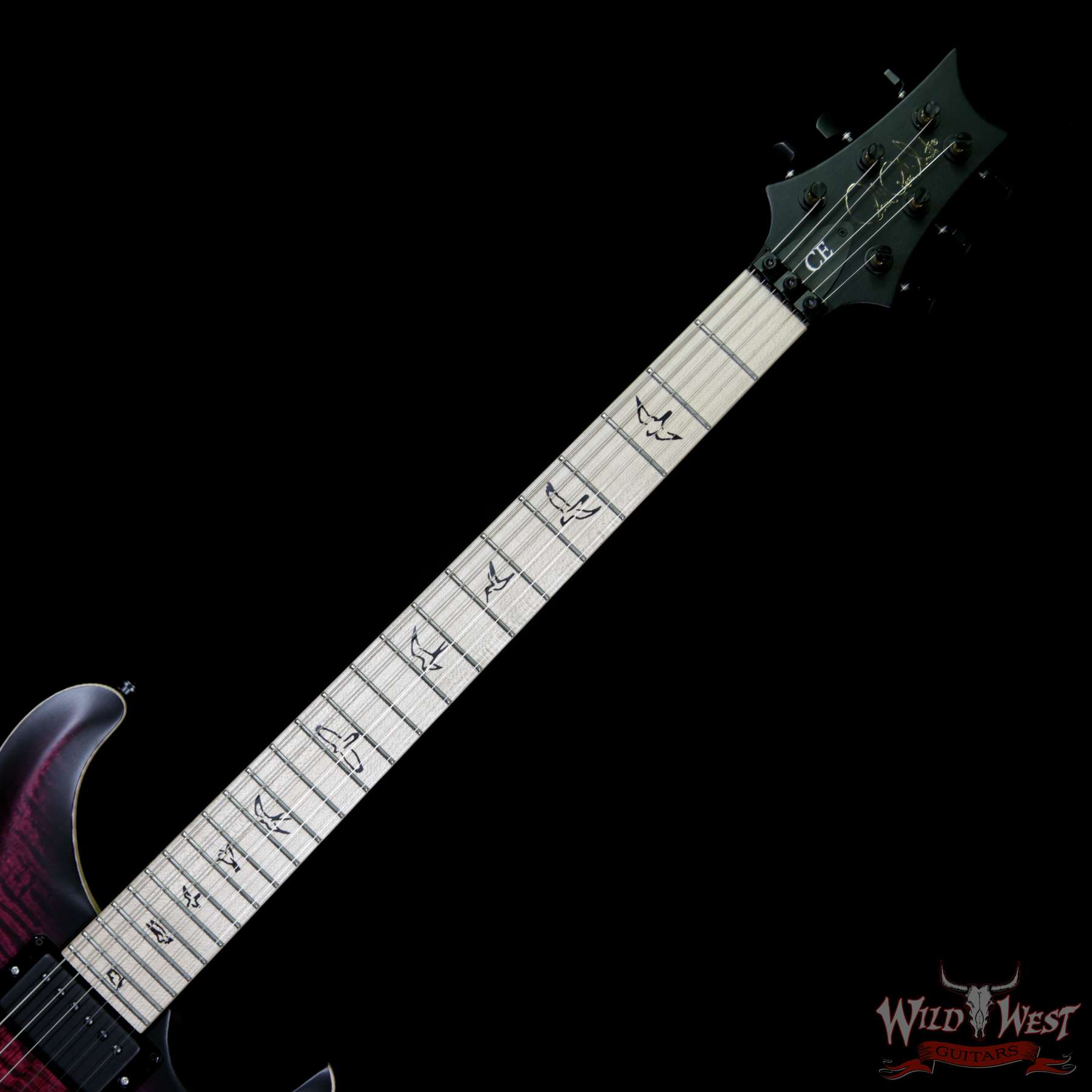 bnf__wwg-5.jpg Paul Reed Smith PRS Dustie Waring Signature DW CE 24 Floyd Rose Limited Edition Waring Burst - Image 5