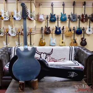 Epiphone Dave Grohl DG-335 Pelham Blue 8.25 LBS - Image 10
