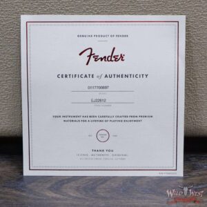 Fender USA Eric Johnson Stratocaster Rosewood Fingerboard Tropical Turquoise - Image 12