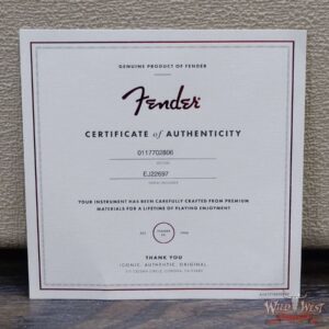 Fender USA Eric Johnson Stratocaster Maple Fingerboard Black (Blemish) - Image 10