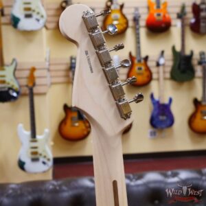 Fender USA Eric Clapton Stratocaster Maple Fingerboard Pewter - Image 8