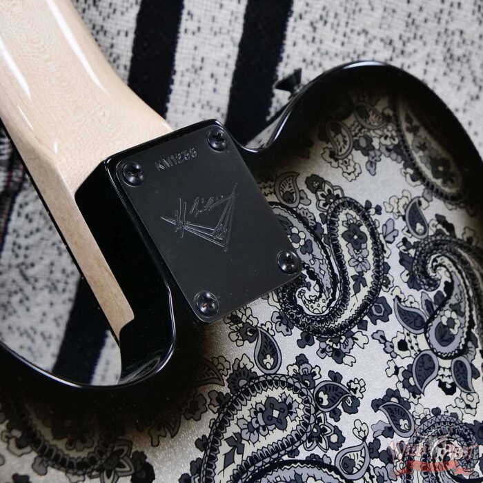 Fender Custom Shop Kyle McMillin Masterbuilt Telecaster HH Brazilian Rosewood Fingerboard NOS Black Paisley 7.30 LBS (US Only / No International Shipping) - Image 13