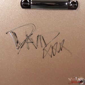 Gibson Artist Proof Guitar DG-335 Metallic Gold Dave Grohl Signed - Image 2
