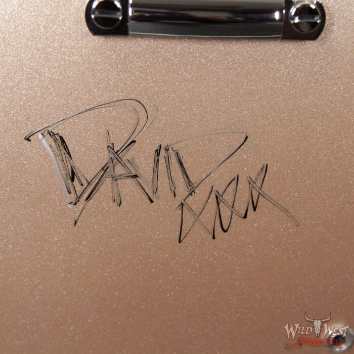 Gibson Artist Proof Guitar DG-335 Metallic Gold Dave Grohl Signed - Image 2