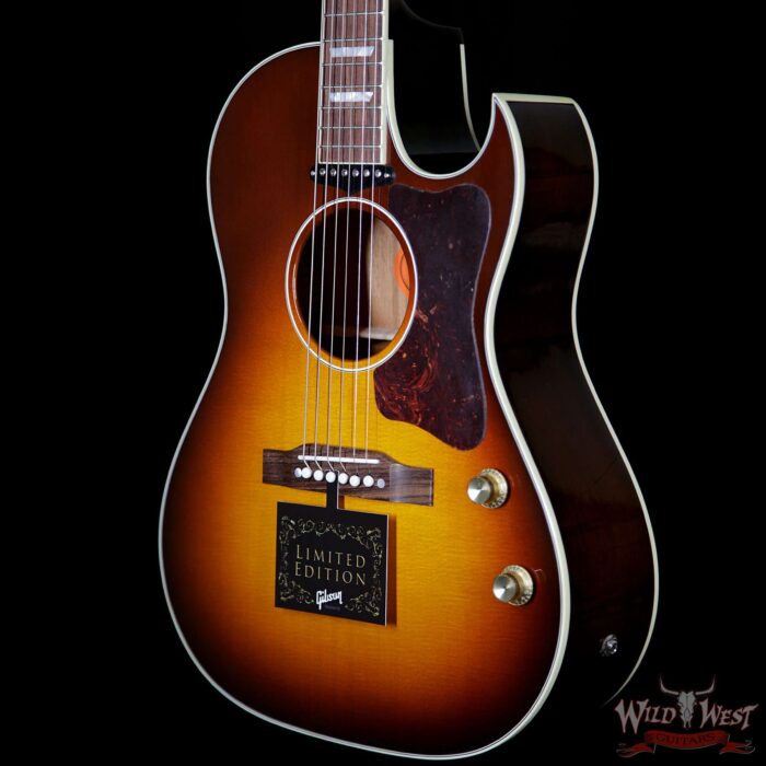 Gibson Custom Shop CF-100E Collector Edition Autumn Burst - Image 2