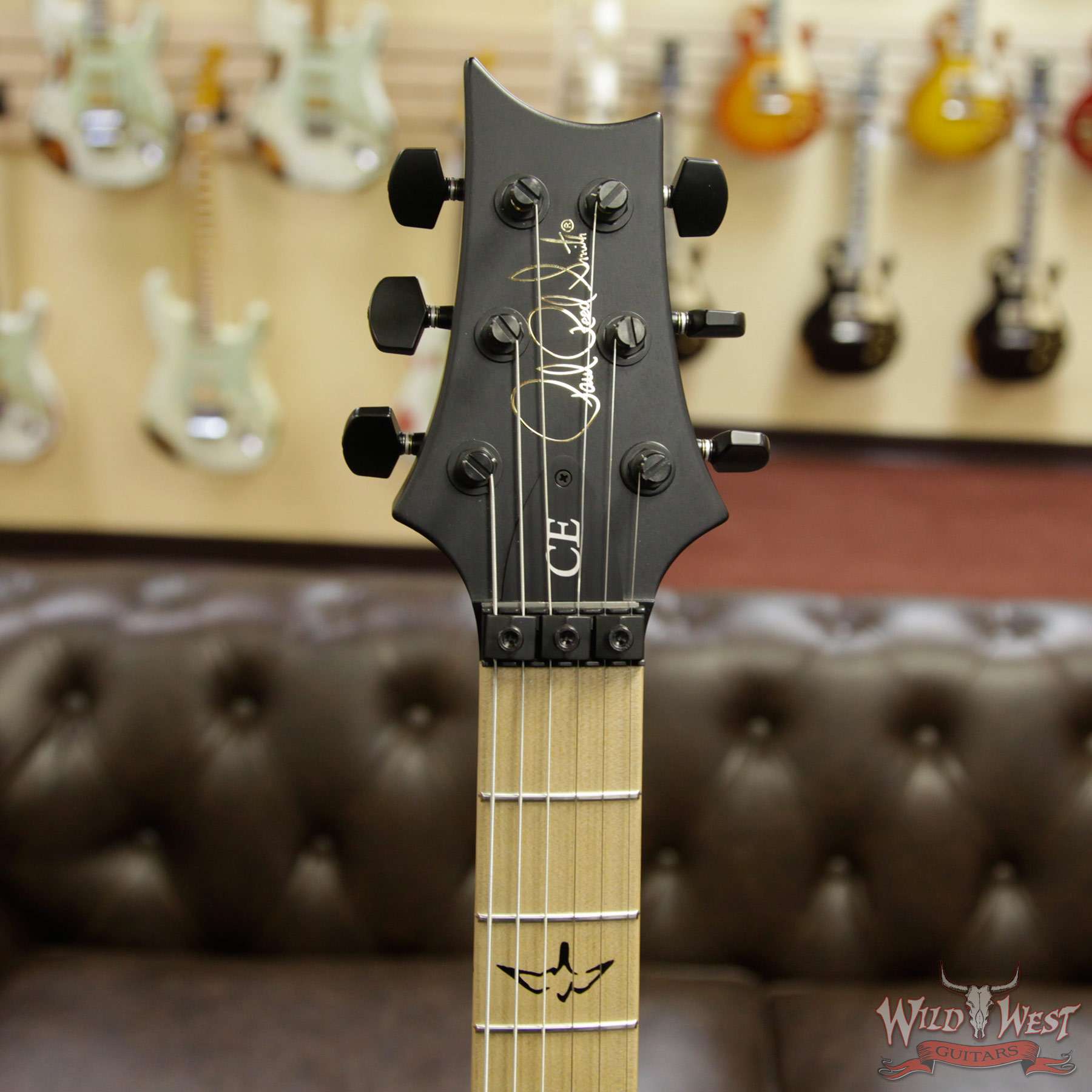 hf__wwg-5.jpg Paul Reed Smith PRS Dustie Waring Signature DW CE 24 Floyd Rose Limited Edition Waring Burst - Image 8