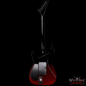 Jackson Custom Shop “Haunted” Soloist SL2H EMG Pickups Artwork by Sara Ray - Image 6