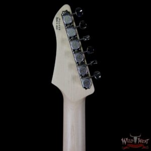 John Page Classic Ashburn HH Rosewood Fretboard Pelham Blue with G&G Hardshell Case w/JPC Logo - Image 10