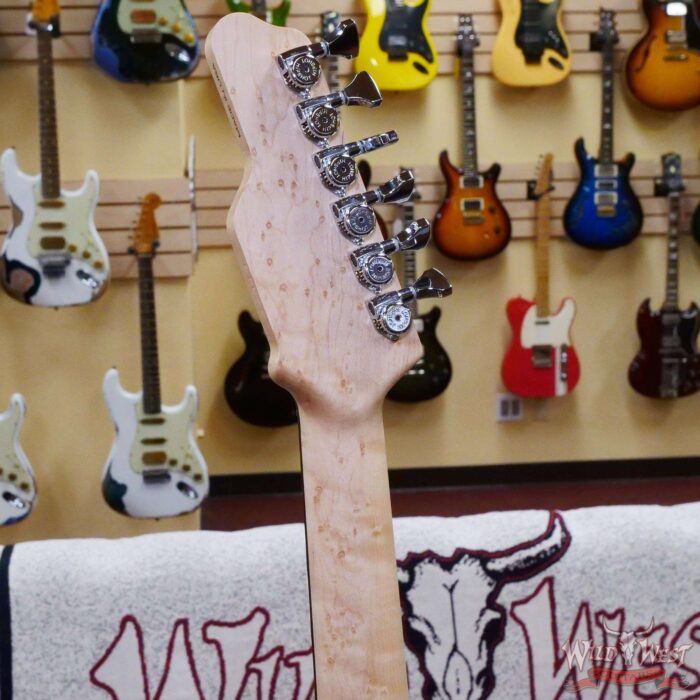 James Tyler USA Studio Elite HD HSS Birdseye Maple Neck Rear Rout Alien Guano - Image 10