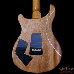 Paul Reed Smith PRS 2020 Experience Modern Eagle V River Bluel 301121 - Image 6