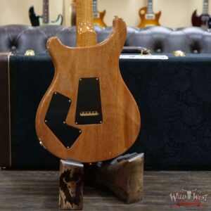 Paul Reed Smith PRS 2020 Experience Modern Eagle V River Bluel 301121 - Image 14
