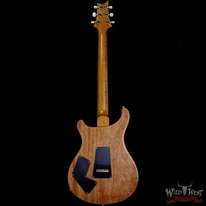 Paul Reed Smith PRS 2020 Experience Modern Eagle V River Bluel 300785 - Image 4