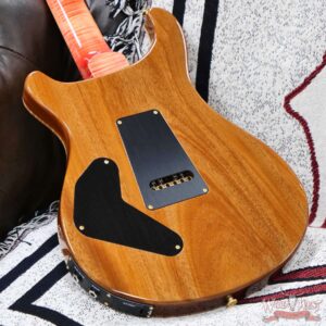 PRS Wild West Guitars 25th Anniversary Limited Run Wood Library Artist Package Custom 24 Piezo Salmon (Private Stock Color) 9.00 LBS (US Only / No International Shipping) - Image 11