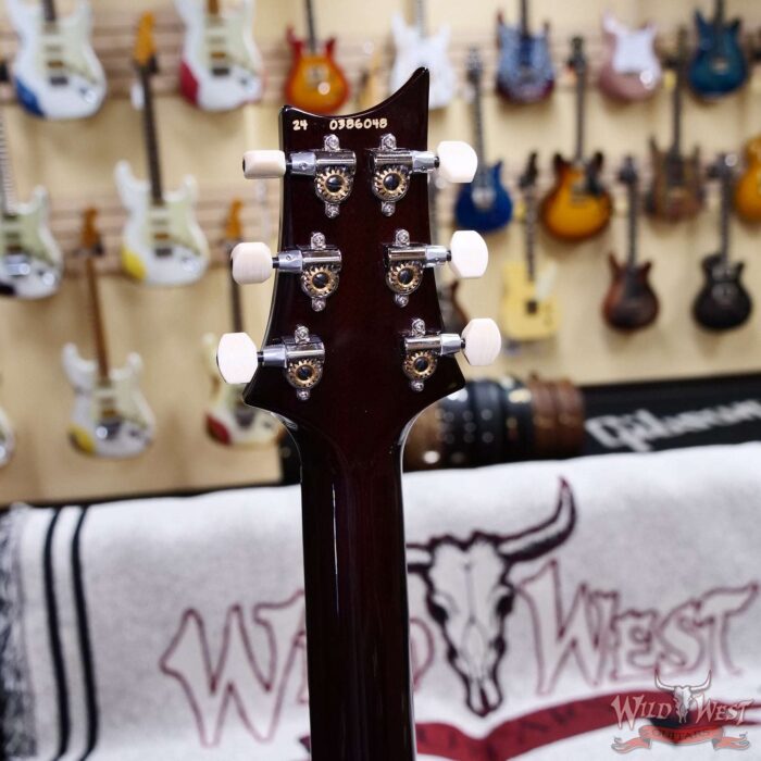 Paul Reed Smith PRS Core Series DGT David Grissom Trem Birds Inlays Gold Top 8.10 LBS - Image 9