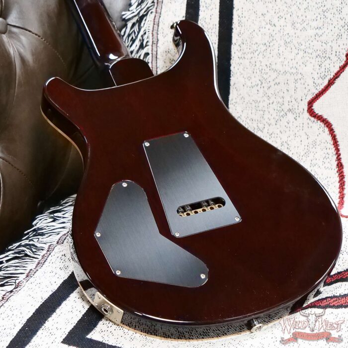 Paul Reed Smith PRS Core Series DGT David Grissom Trem Birds Inlays Gold Top 8.10 LBS - Image 10