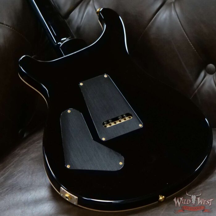 Paul Reed Smith PRS Custom 24 Artist Package Ebony Fingerboard Copperhead Smokeburst - Image 10