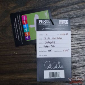 Paul Reed Smith PRS Bolt-On CE 24 Semi-Hollow Eriza Verde Smokeburst - Image 12