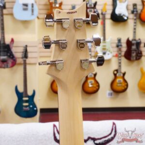 Paul Reed Smith PRS Bolt-On Eletrics CE 24 Semi-Hollow Trampas Green Smokeburst - Image 9
