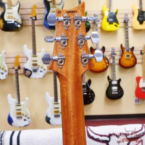 Paul Reed Smith PRS Core Series Custom 24 Rosewood Fingerboard Purple Iris Natural Back - Image 10