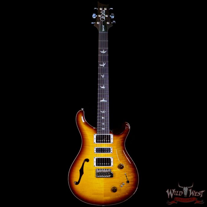 PRS Semi-Hollow Limited Edition Special 22 Rosewood Fingerboard McCarty Tobacco Burst - Image 3