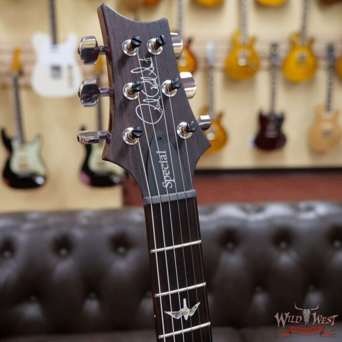 PRS Semi-Hollow Limited Edition Special 22 Rosewood Fingerboard McCarty Tobacco Burst - Image 6