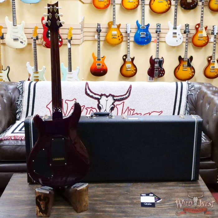 Paul Reed Smith PRS Core David Grissom Trem Signature DGT Birds Inlay Faded Violet Burst - Image 8