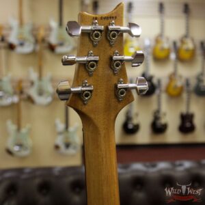 Paul Reed Smith PRS Custom 24 Katalox Fretboard Violet Metallic Natural Back - Image 8