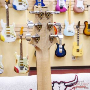 Paul Reed Smith PRS Core Series Custom 24 Floyd Rose Ebony Fingerboard Yellow Tiger - Image 10