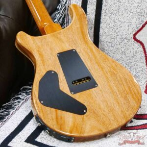 Paul Reed Smith PRS Core Series Custom 24 Piezo Rosewood Fingerboard Purple Iris Natural Back - Image 11