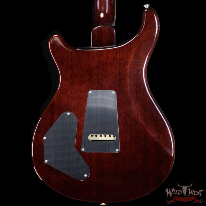 Paul Reed Smith PRS Core DGT David Grissom Trem Goldtop Birds Inlay - Image 5