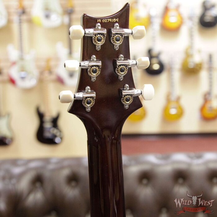 Paul Reed Smith PRS Core DGT David Grissom Trem Goldtop Birds Inlay - Image 11