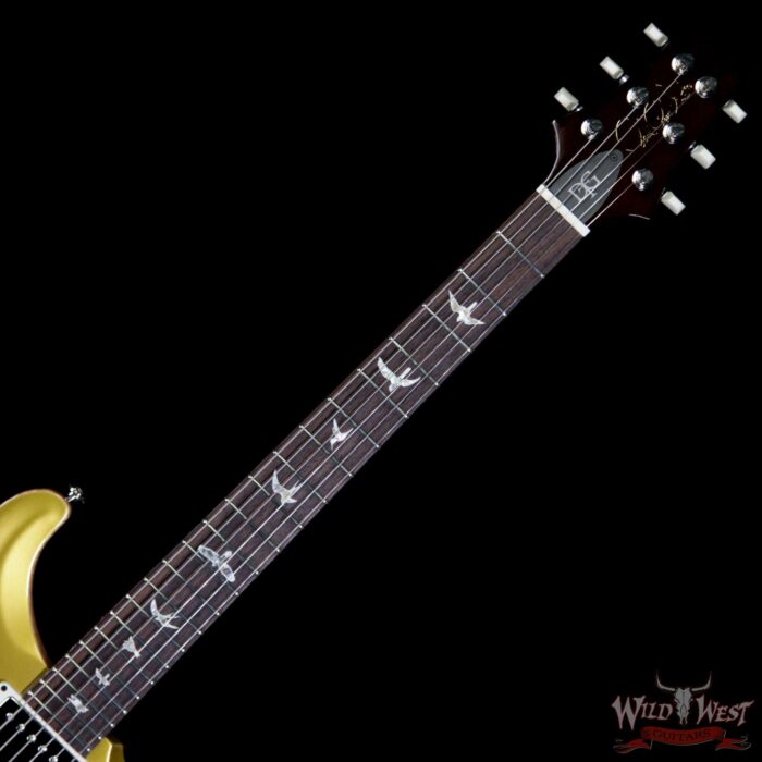 Paul Reed Smith PRS Core DGT David Grissom Trem Goldtop Birds Inlay - Image 6