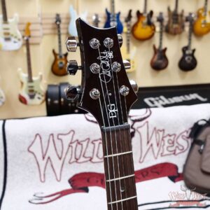 2024 Paul Reed Smith PRS SE DGT David Grissom Signature Model McCarty Gold Top with Moon Inlays 7.35 LBS - Image 7
