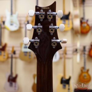 Paul Reed Smith PRS Core DGT David Grissom Trem Goldtop Moons Inlay - Image 10