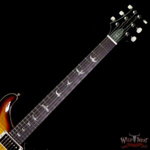 Paul Reed Smith PRS Core DGT David Grissom Trem Birds Inlay Tri-Color Burst - Image 4