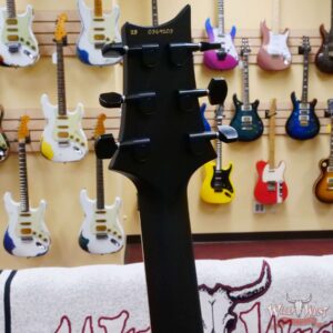 Paul Reed Smith PRS Bolt-On Series Dustie Waring Signature CE 24 Floyd FR Maple Board Gray Black - Image 9