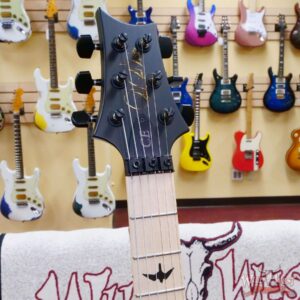 Paul Reed Smith PRS Bolt-On Series Dustie Waring Signature CE 24 Floyd FR Maple Board Faded Blue Smokeburst - Image 6