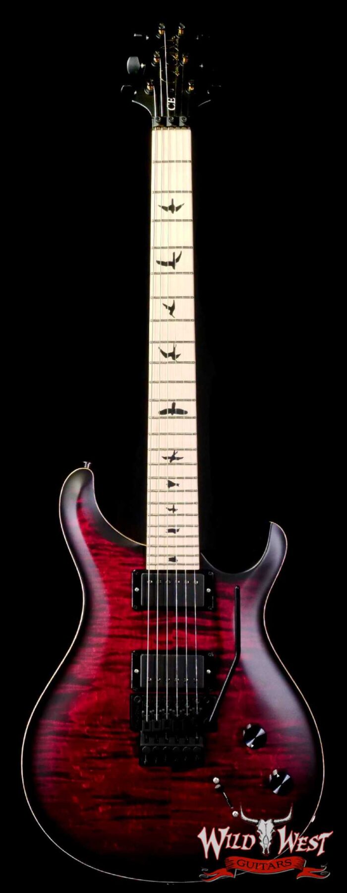 Paul Reed Smith PRS Bolt-On Series Dustie Waring Signature CE 24 Floyd FR Maple Board Waring Burst - Image 1