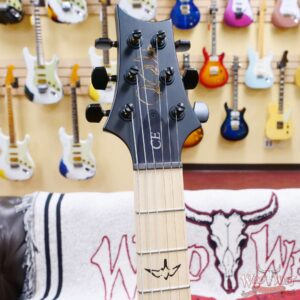 Paul Reed Smith PRS Bolt-On Series Dustie Waring Signature DW CE 24 Hardtail Limited Edition Faded Jade Smokeburst - Image 6
