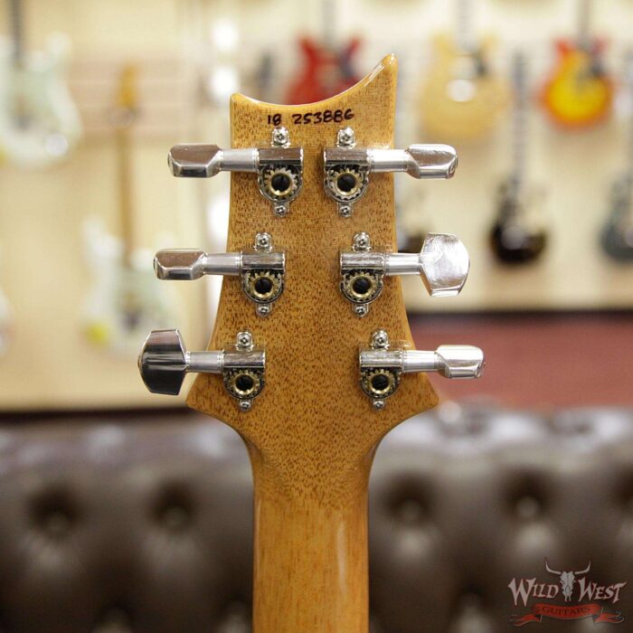 PRS 2018 Experience Custom 24 Flame Top East Indian Rosewood Board Trampas Green Smokewrap - Image 13