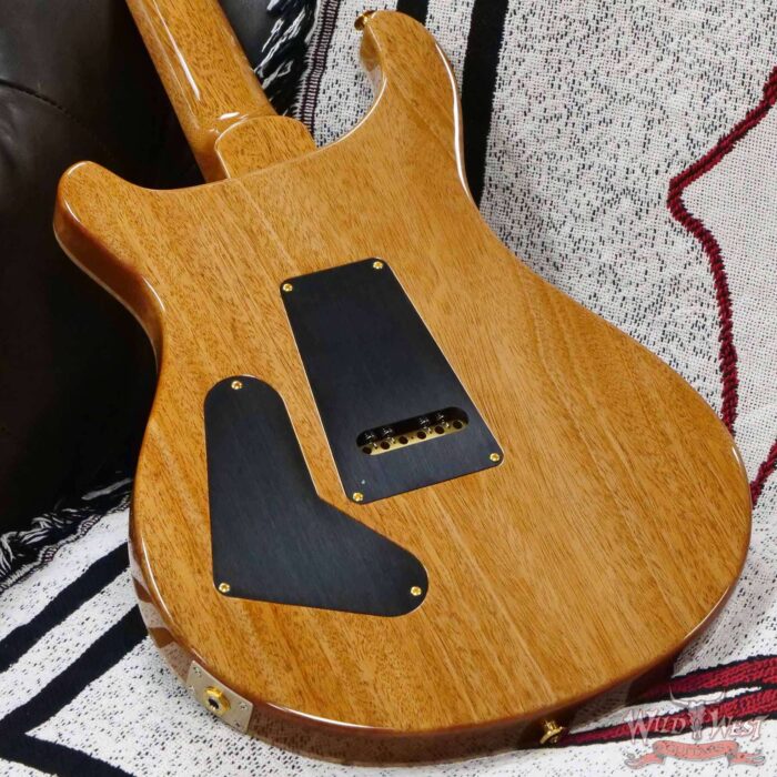 Paul Reed Smith PRS Core 10 Top Custom 24 Rosewood Fingerboard Faded Jade Smoke Burst - Image 11