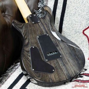 Paul Reed Smith PRS SE Series Swamp Ash Special SAS Charcoal - Image 10