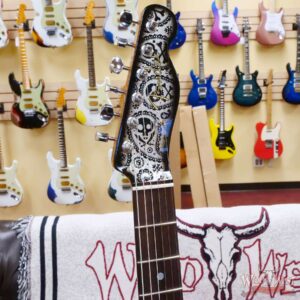 Fender Custom Shop Paul Waller Masterbuilt 1967 Telecaster Custom HH NOS Black Skull Paisley - Image 7