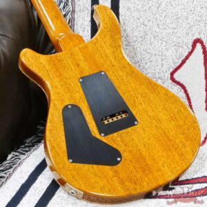 Paul Reed Smith PRS Private Stock #10107 Orianthi Limited Edition Custom 24 with Custom Lotus Vine Inlay - Image 11