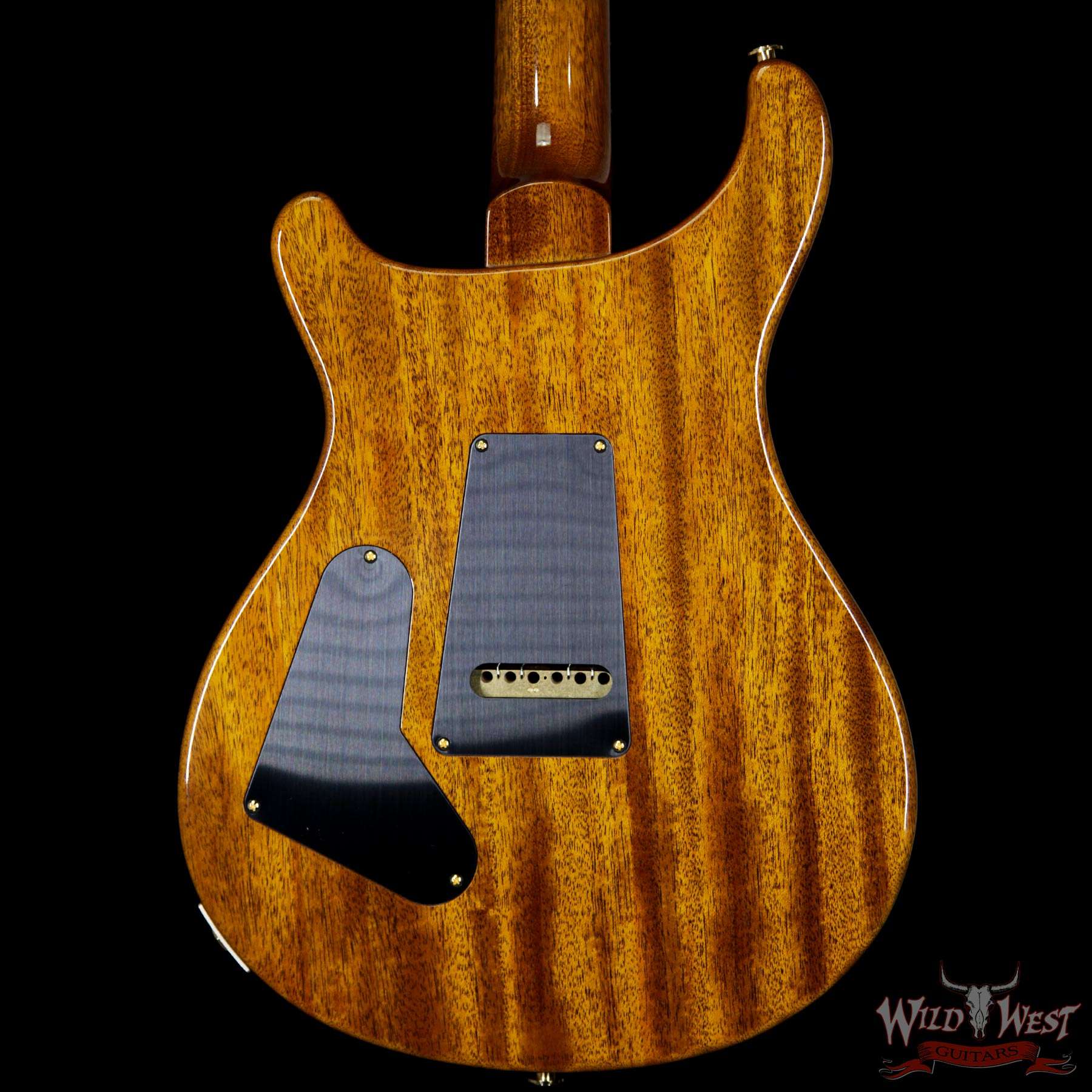 prs-ps6705-custom24-treeoflife-qt-dirtyblonde-244231-bb__wwg.jpg PRS Private Stock PS6705 Custom 24 Quilt Maple Top Original “Tree of Life” Inlay Dirty Blonde - Image 7
