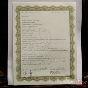 PRS Private Stock #7157 Hollowbody II HBII Brazilian Rosewood Top & Board Flame Maple Back and Neck Aquamarine - Image 16